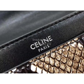 Celine Exquisite Satin Calfskin Messenger Bag For Women 188013