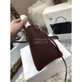 Celine Fashion New Palm Pattern Messenger Bag For Women 175520