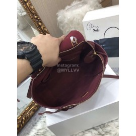 Celine Fashion New Palm Pattern Messenger Bag For Women 175520