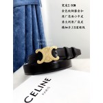 Celine Black Calf Gold Buckle 25mm Belts For Men And Women