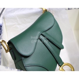 Dior Saddle Palm Pattern Small Saddle Bag Vintage Green M9001