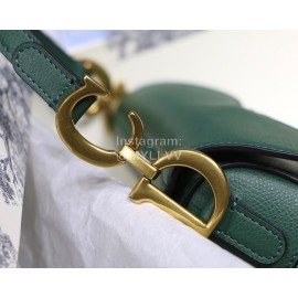 Dior Saddle Palm Pattern Small Saddle Bag Vintage Green M9001