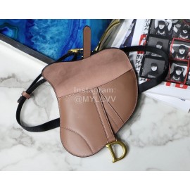 Dior Saddle Letter Tassel Plain Weave Belt Bag Bean Paste Powder M9025