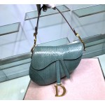 Dior Saddle Water Snake Letter Fringed Leather Saddle Bag Dark Green