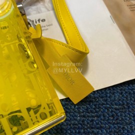 Dior Acrylic Fashion Transparent Bag Ginger Yellow 0118
