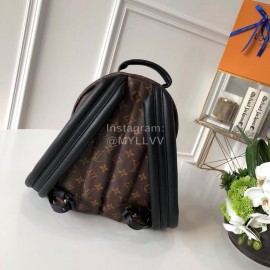 Louis Vuitton Cruise Exquisite Fashion Functional Backpack M41560