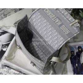 DIOR Oblique Embroidery Messenger Bag Diorcamp Bag Gray 