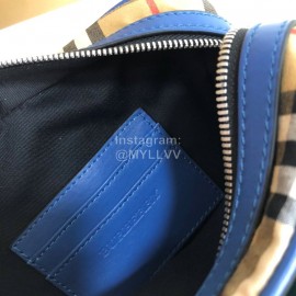 Burberry Stripe Retro Camera Bag Green