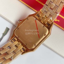 PanthèRe De Cartier 316l Fine Steel Case Diamond Watch Red