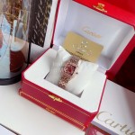 PanthèRe De Cartier 316l Fine Steel Case Diamond Watch