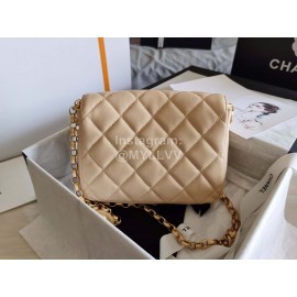 Chanel Autumn Winter Leather Chain Classic Flap Bag Beige
