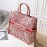 Dior Book Tote British Peony Handbag Red