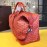 Goyard Fashion Y-Print Light Travel Bag For Women Orange Red