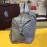 Goyard Fashion Y-Print Light Travel Bag For Women Gray