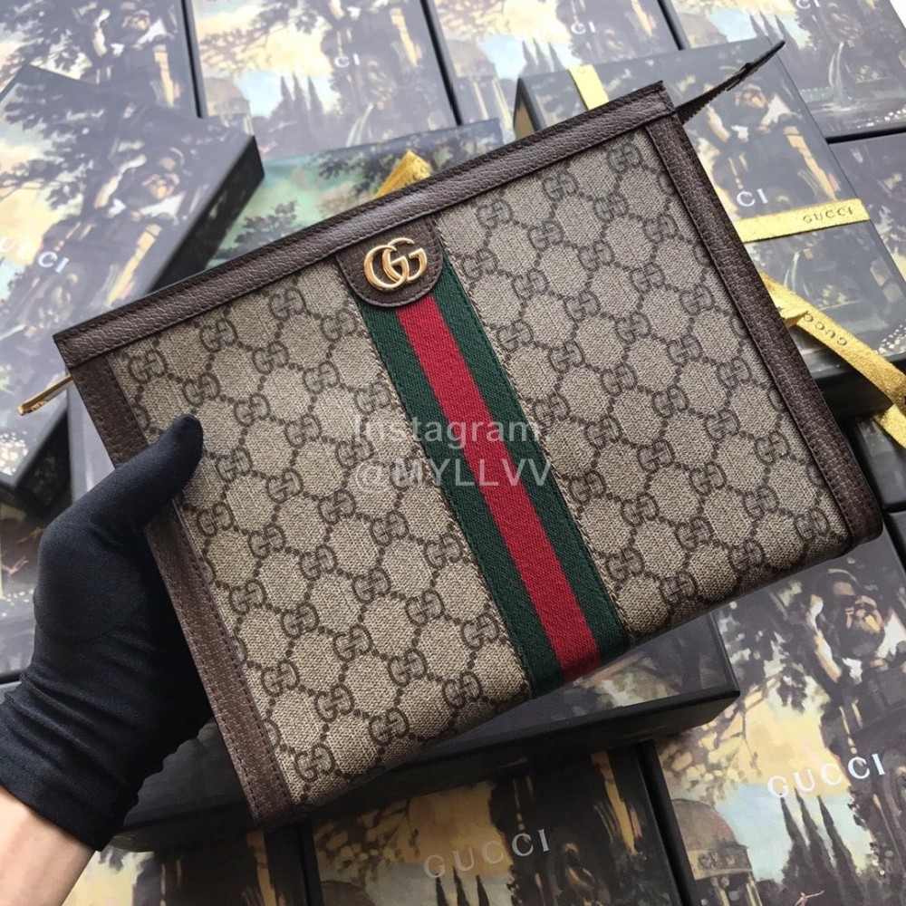 Gucci Ophidia Pouch Coffee Color 625549