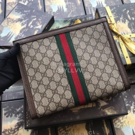 Gucci Ophidia Pouch Coffee Color 625549