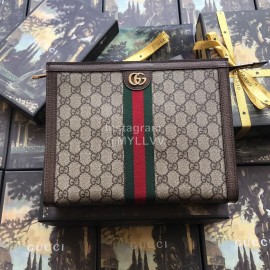 Gucci Ophidia Pouch Coffee Color 625549