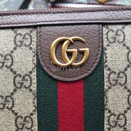 Gucci Ophidia Pouch Coffee Color 557697