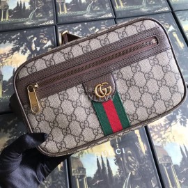Gucci Ophidia GG Belt Bag Coffee Color 574796