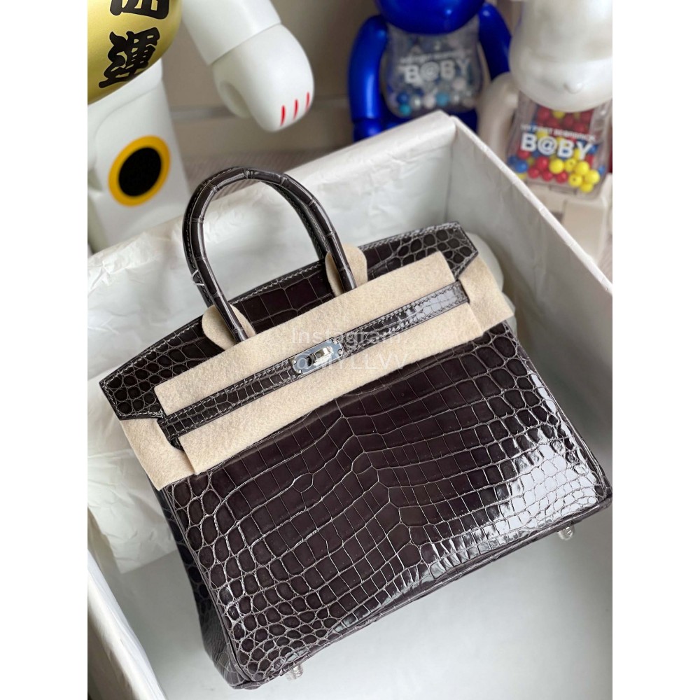 Hermes Birkin 25cm Alligator Shiny Handbag Gray