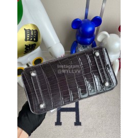 Hermes Birkin 25cm Alligator Shiny Handbag Gray