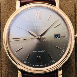 Iwc Iws Factory Sapphire Glass Leather Strap Watch Coffee