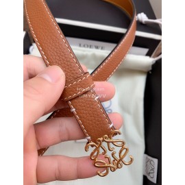 Loewe Fashion Calf Gold Buckle 20mm Belts Brown