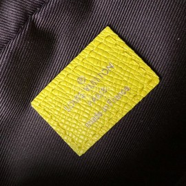 Louis Vuitton Outdoor Waist Bag Yellow M30251