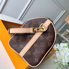 Louis Vuitton Damier EbèNe Canvas Speedy 25 Handbag M41113