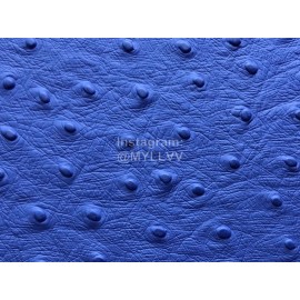 Louis Vuitton Blue Crocodile Leather Exquisite Handbag M61692