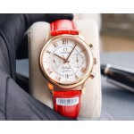 Omega Sapphire Crystal Roman Numeral Dial Watch