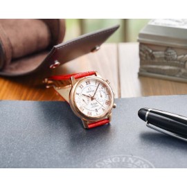 Omega Sapphire Crystal Roman Numeral Dial Watch